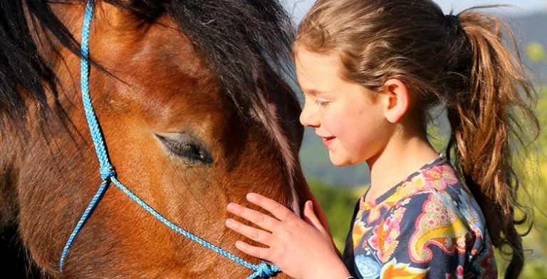 Open day English Camp a Cavallo