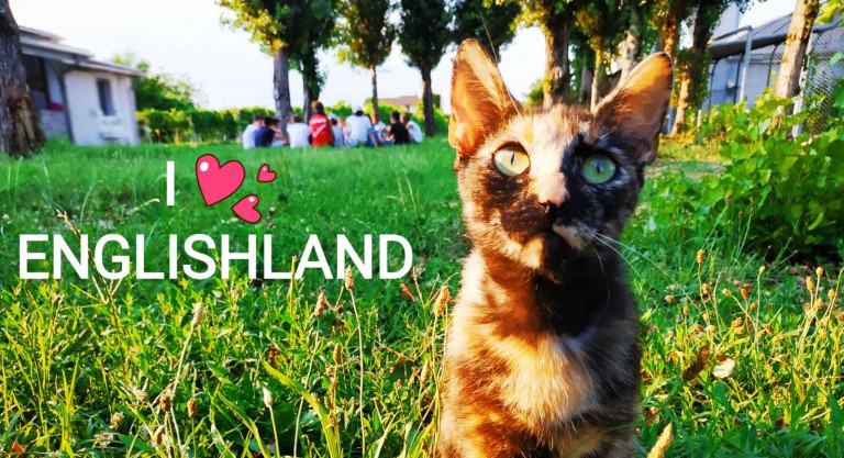 scuola inglese Padova