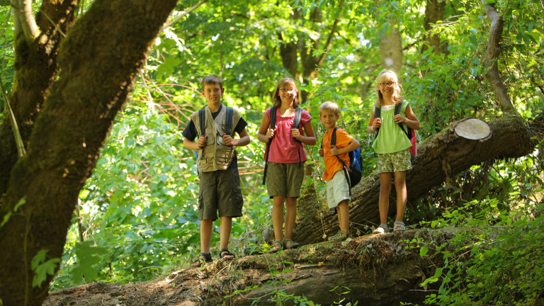 Portrait,Of,Four,Kids,Standing,On,Log,In,Woods