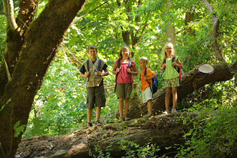 Portrait,Of,Four,Kids,Standing,On,Log,In,Woods